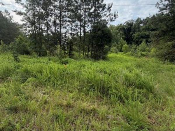 tbd lot 2 Rolfe Highway , Dendron, VA 23839