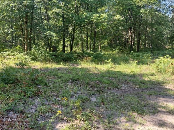 2807 Evergreen Dr Drive, Unit Par C, White Cloud, MI 49349