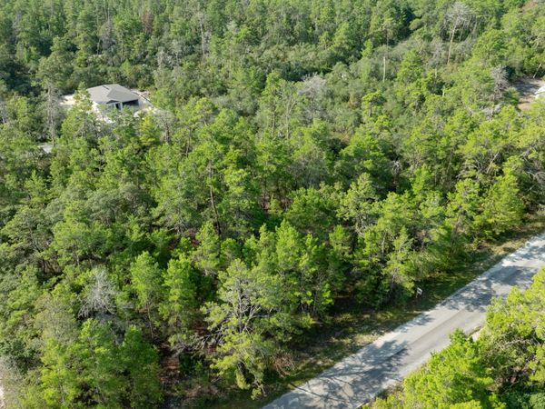 26 Fisher Trail Terrace, Ocklawaha, FL 32179