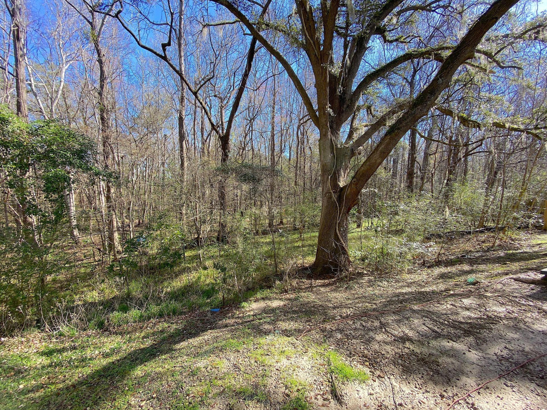 9139 Parlor Drive Photo 16