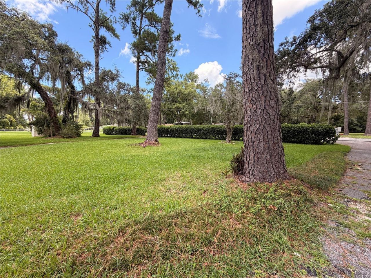 1940 Alice Drive, Astor, FL 32102 Photo