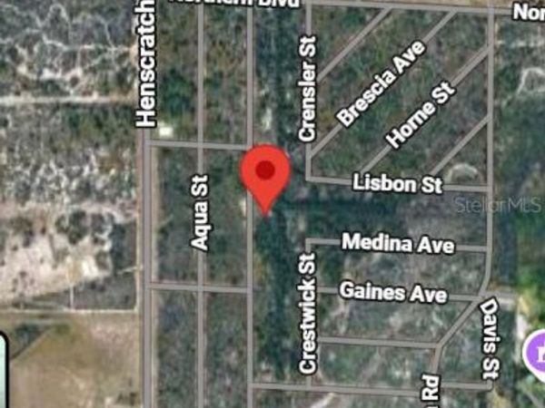 1231 CAMILO STREET , LAKE PLACID, FL 33852