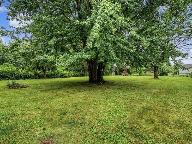 1000 Buena Vista Road, South Vienna, OH 45369 Photo 34