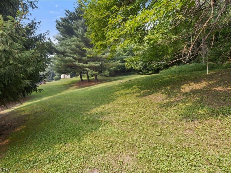 593 Salva Avenue, Shadyside, OH 43947 Photo 25