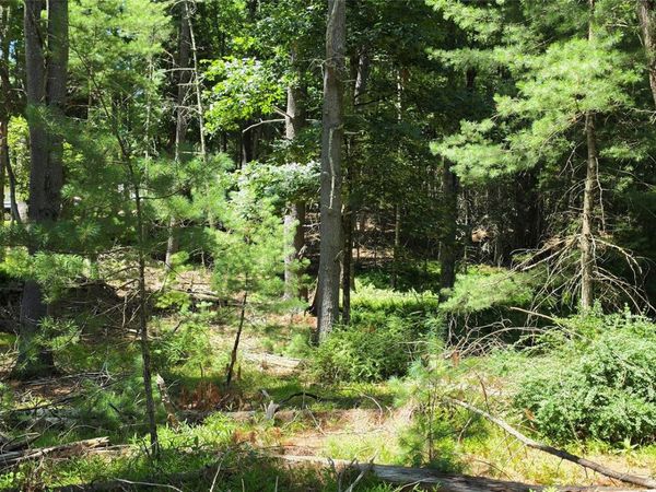 Lot # 7 Irishtown Road, Narrowsburg, NY 12764