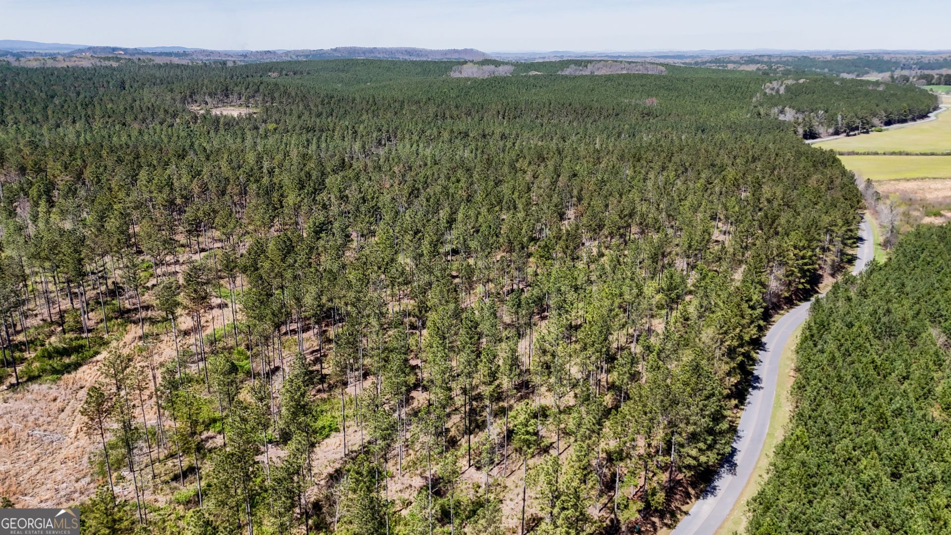20 Acres Youngs Farm Road, Cedartown, GA 30125 Main Photo