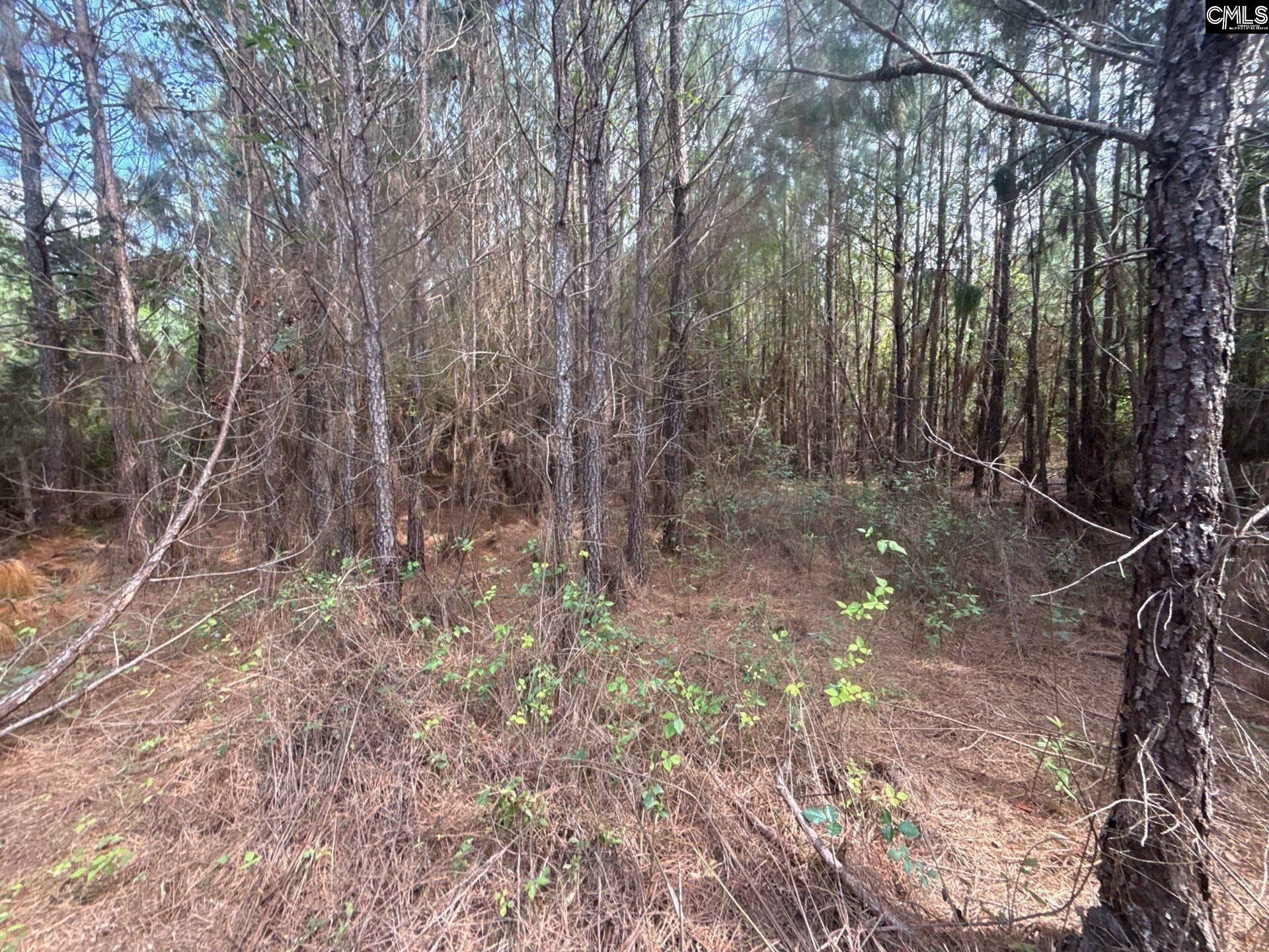 Mpf 4 State Rd S-28-31 Road  Photo 10