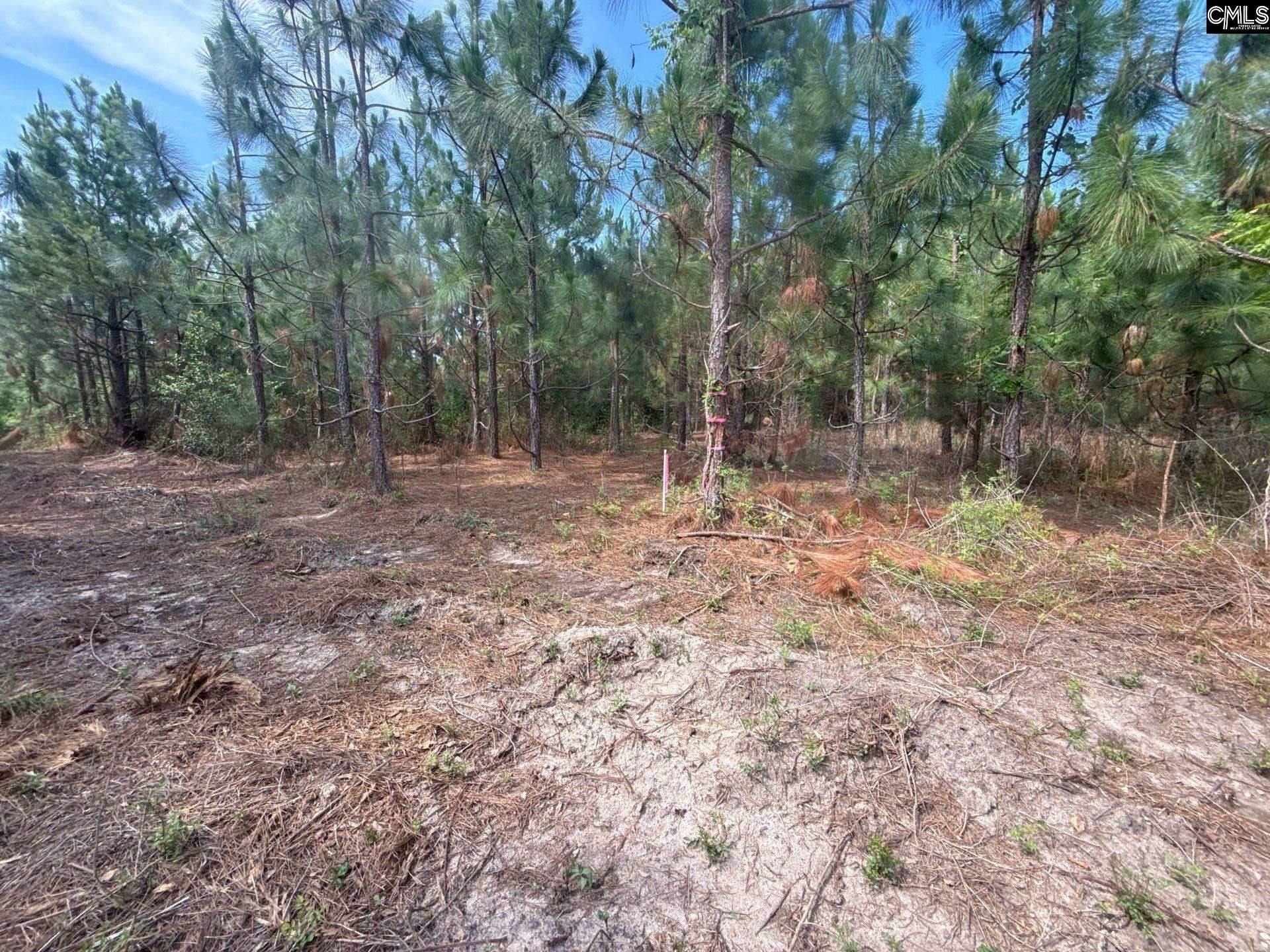 Mpf 4 State Rd S-28-31 Road  Photo 11