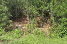Mpf 4 State Rd S-28-31 Road  photo 4