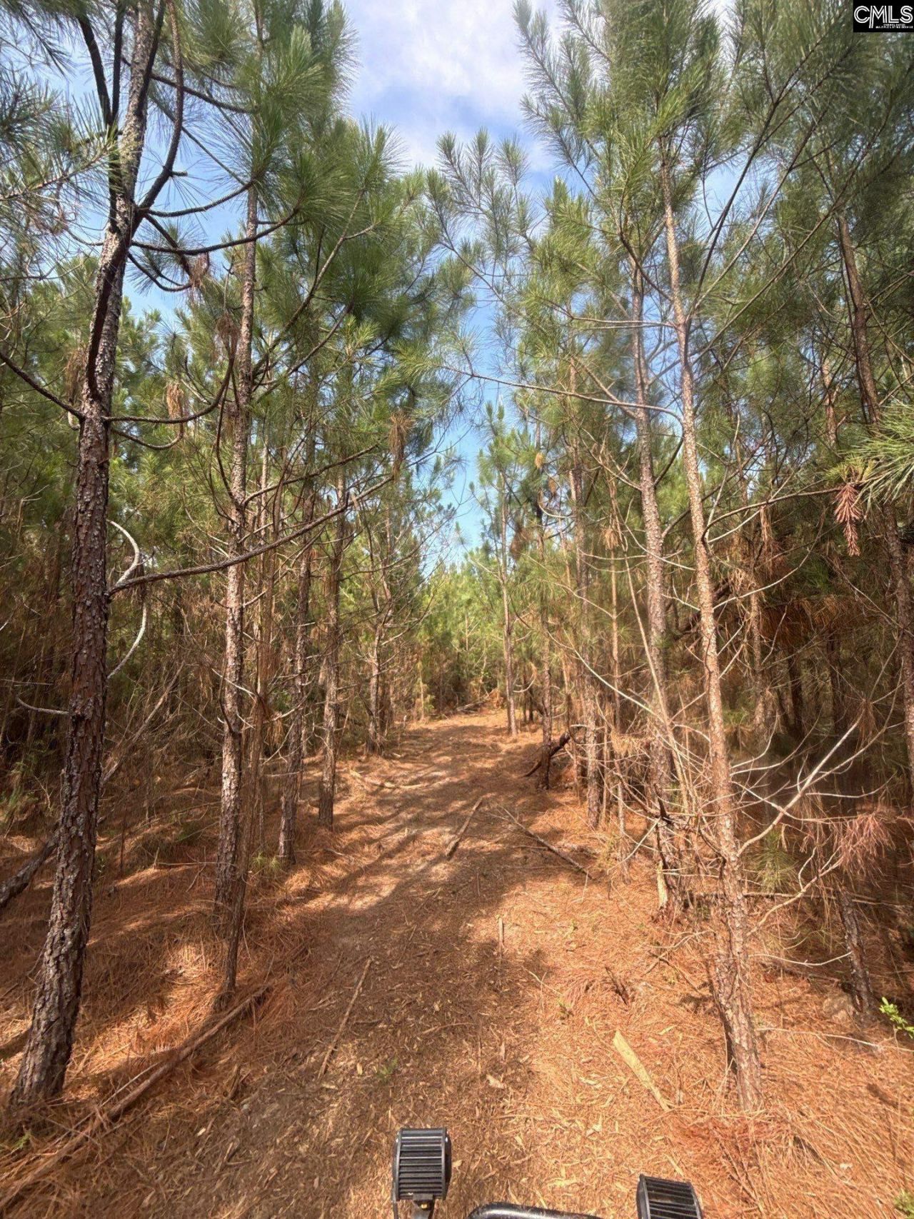Mpf 4 State Rd S-28-31 Road  Photo 4