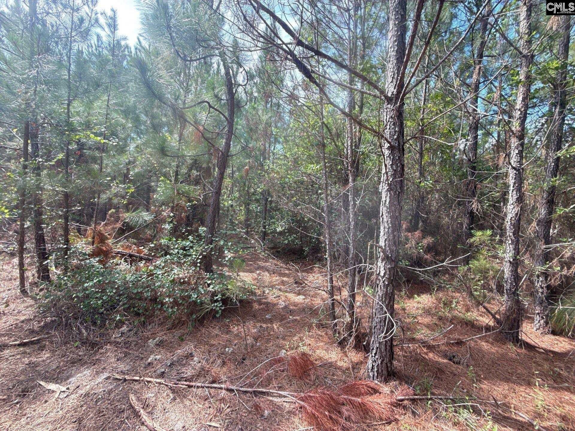 Mpf 4 State Rd S-28-31 Road  Photo 5