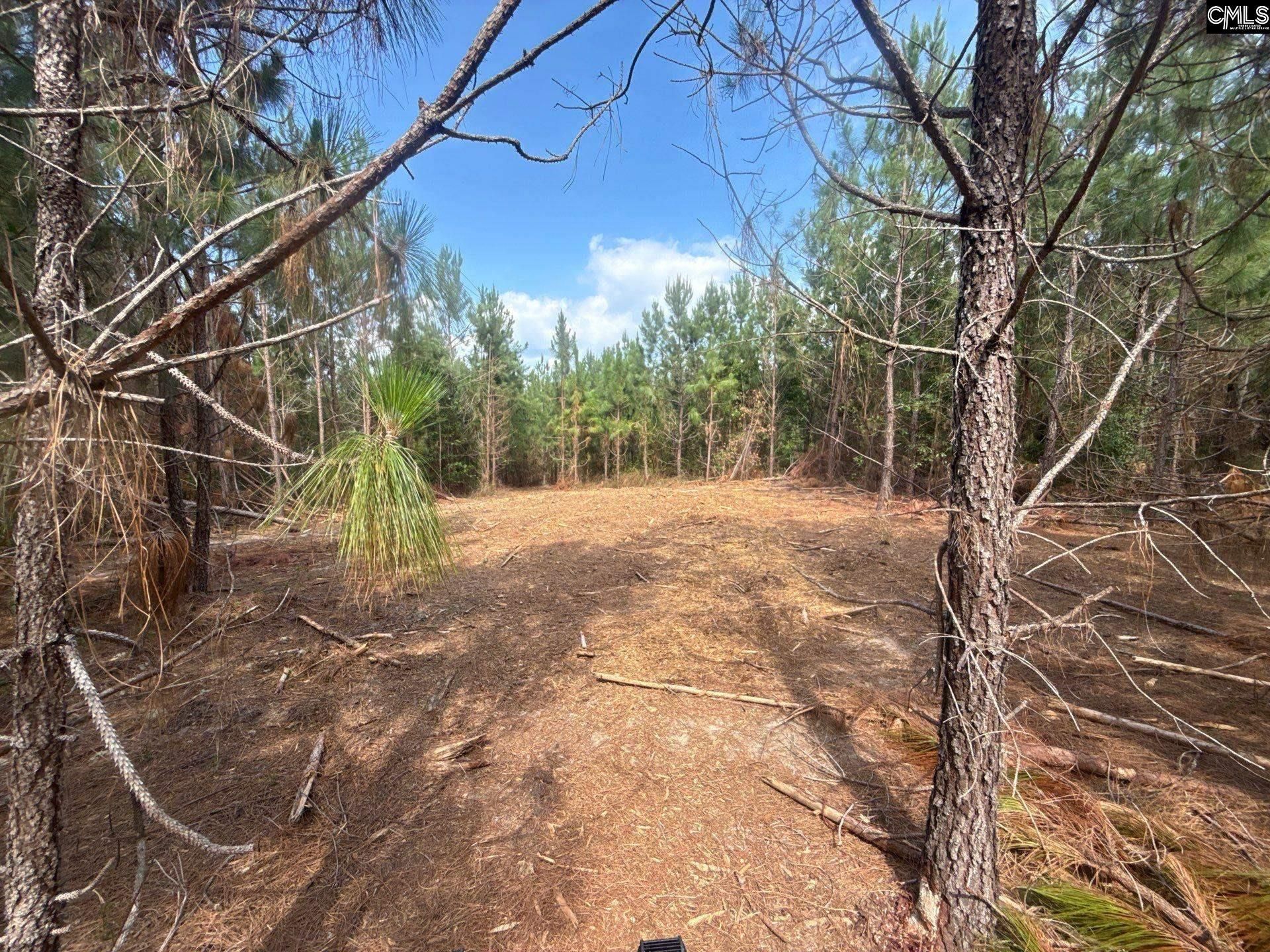 Mpf 4 State Rd S-28-31 Road  Photo 6