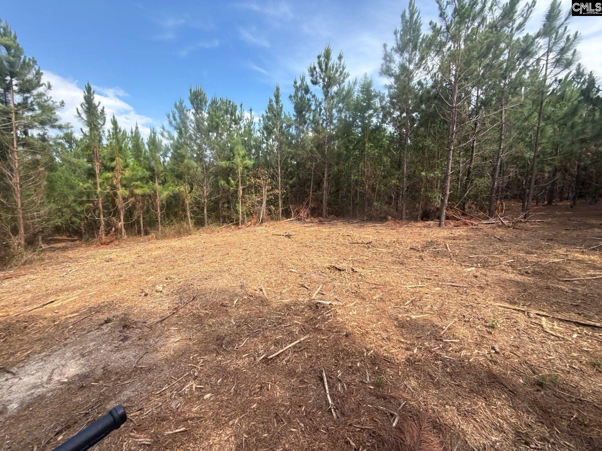 Mpf 4 State Rd S-28-31 Road  Photo 7