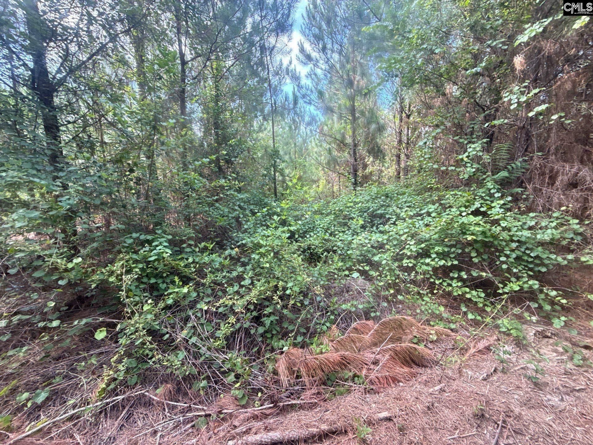 Mpf 4 State Rd S-28-31 Road  Photo 9