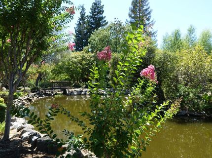 311 Overbrook Dr, Folsom, CA 95630 Photo