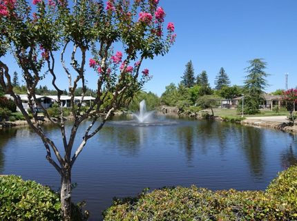 311 Overbrook Dr, Folsom, CA 95630 Photo