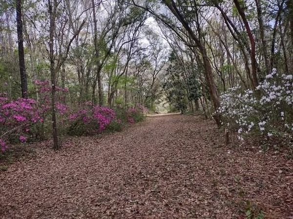 9606 Beverly Road, Irvington, AL 36544