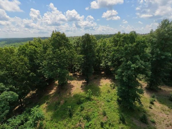 10824 Upper Janes Creek Road , Ravenden, AR 72459