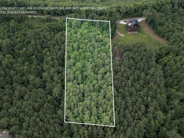 LOT 82 Thirteen Hundred, Blairsville, GA 30512