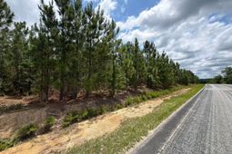 Mpf 5 State Rd S-28-31 Road  photo 4