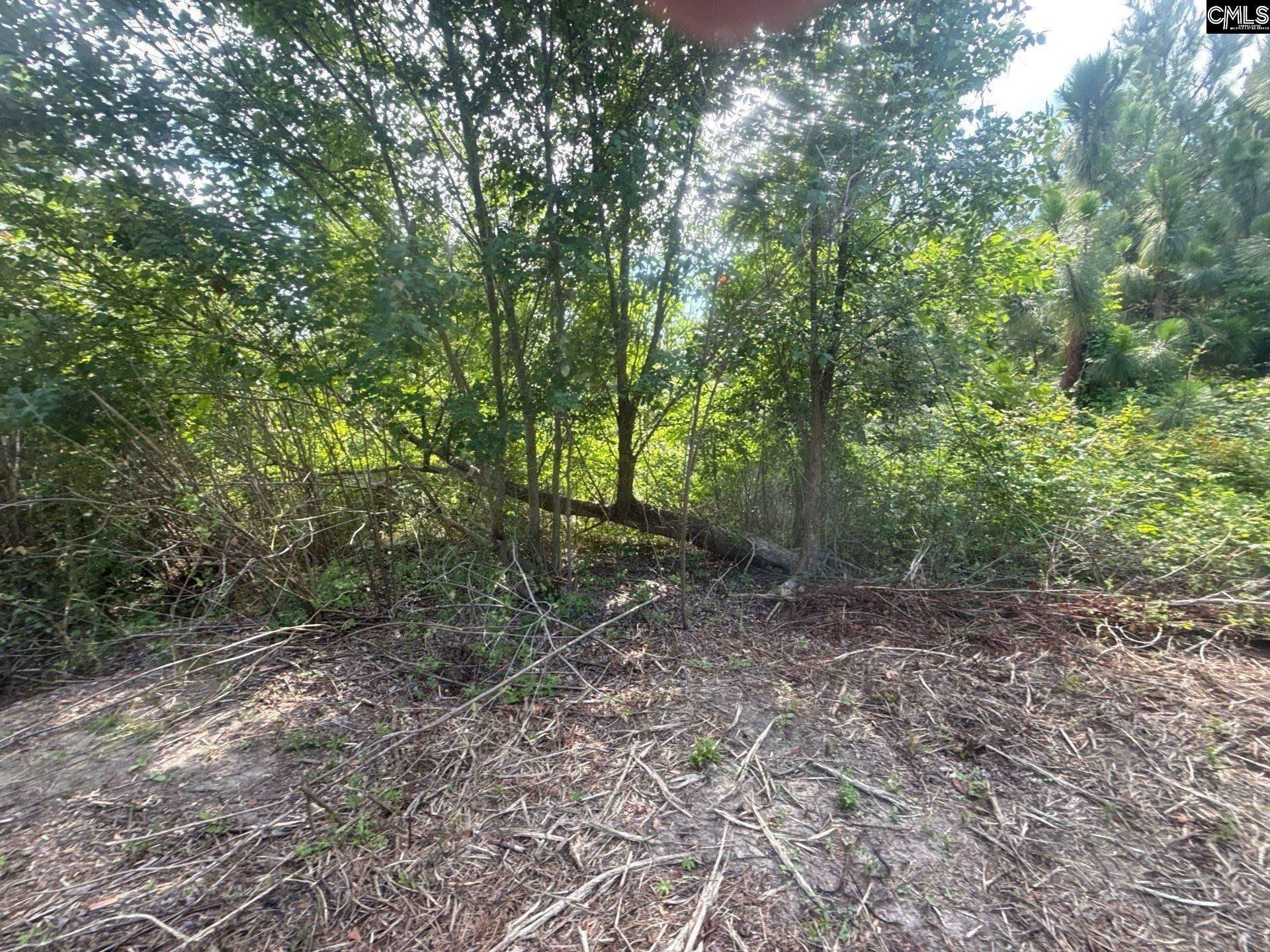 Mpf 5 State Rd S-28-31 Road  Photo 6