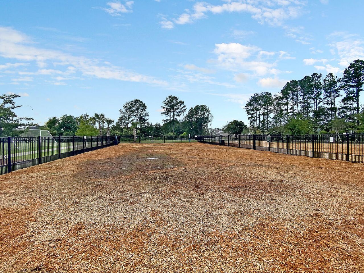 289 Oglethorpe Circle Photo 42