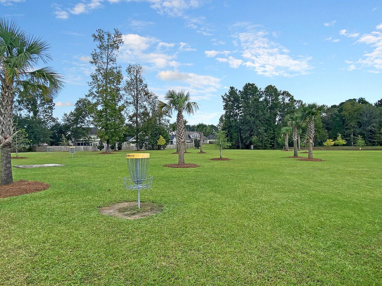 289 Oglethorpe Circle Photo 43