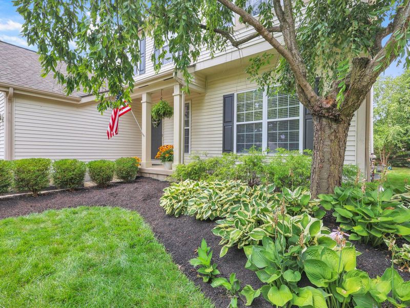 6079 Varwyne Drive, Dublin, OH 43016 Photo 5
