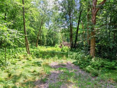 1850 Klondike Drive NE, Cedar, MN 55011