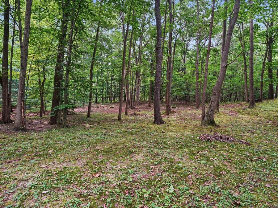 Property Image 38
