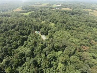 1047 Poinsettia Road SE, Scio, OH 43988