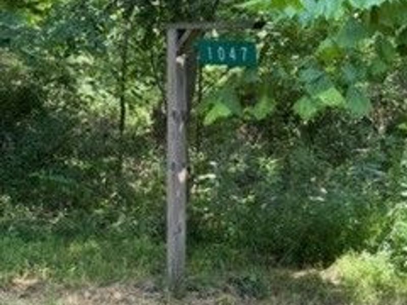 1047 Poinsettia Road SE, Scio, OH 43988 Photo 11