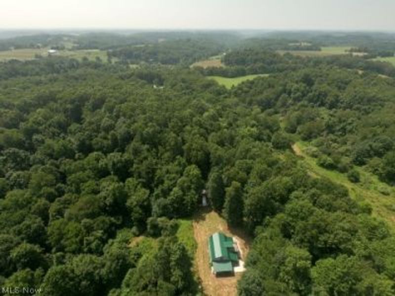 1047 Poinsettia Road SE, Scio, OH 43988 Photo 4