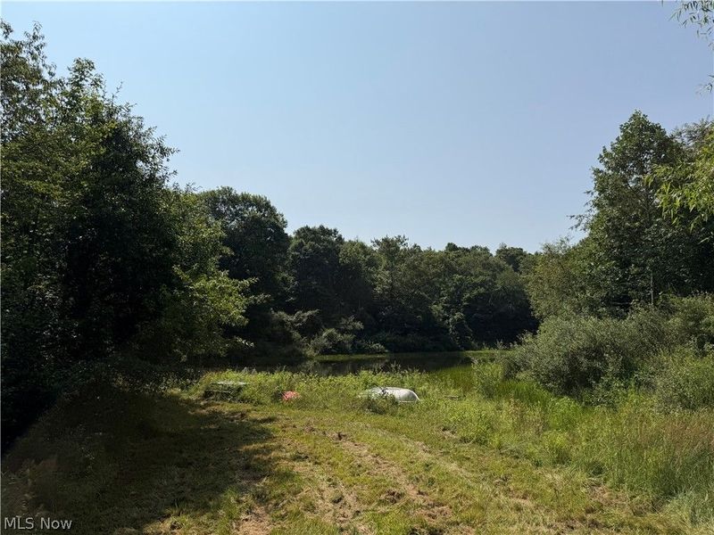 1047 Poinsettia Road SE, Scio, OH 43988 Photo 7
