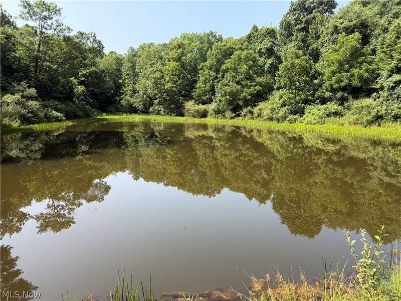 1047 Poinsettia Road SE, Scio, OH 43988 Photo 8