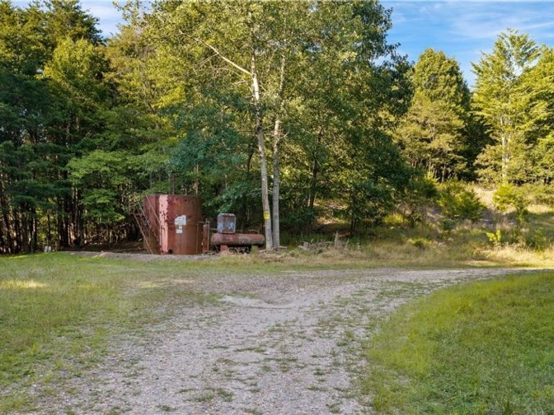 8371 French Hill Road NW, Bolivar, OH 44612 Photo 2