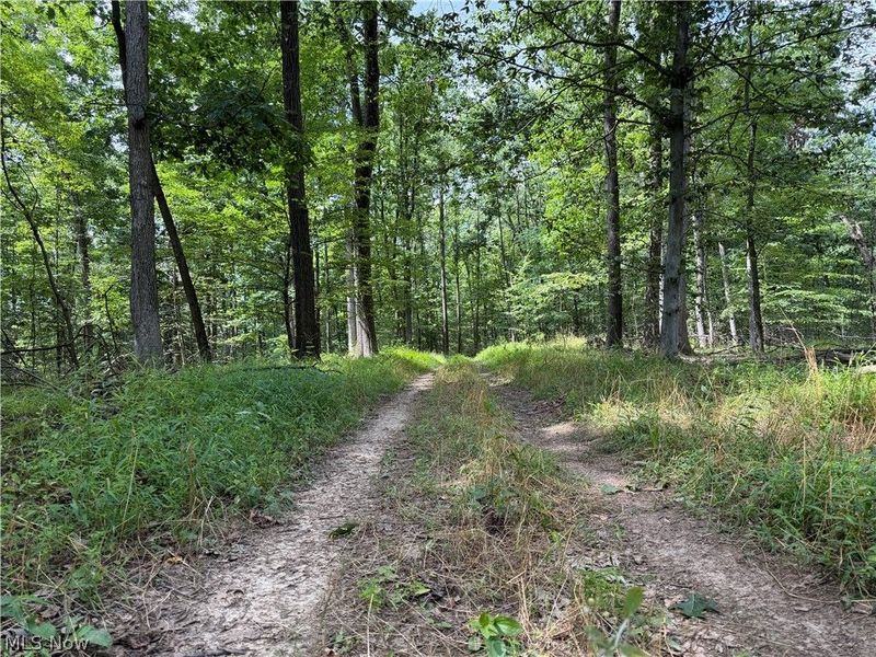 8371 French Hill Road NW, Bolivar, OH 44612 Photo 25