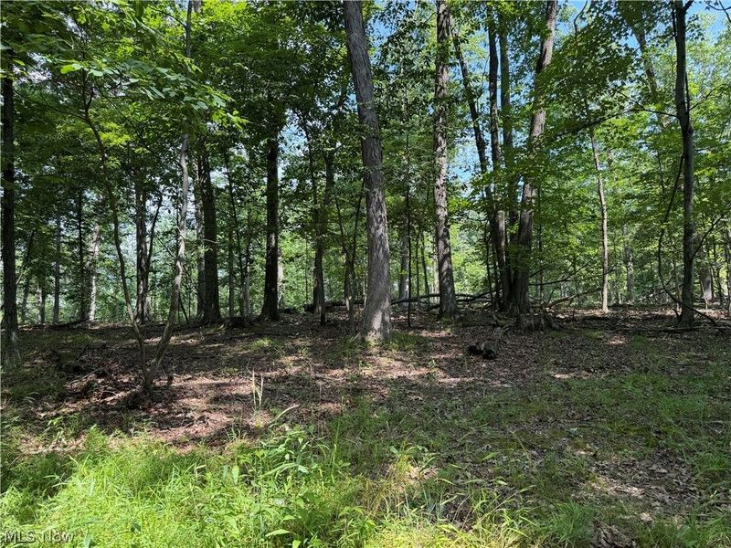 8371 French Hill Road NW, Bolivar, OH 44612 Photo 32