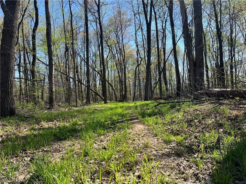8371 French Hill Road NW, Bolivar, OH 44612 Photo 6