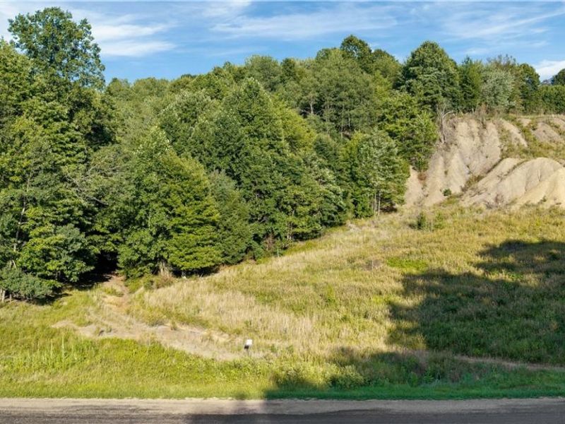 8371 French Hill Road NW, Bolivar, OH 44612 Photo 8