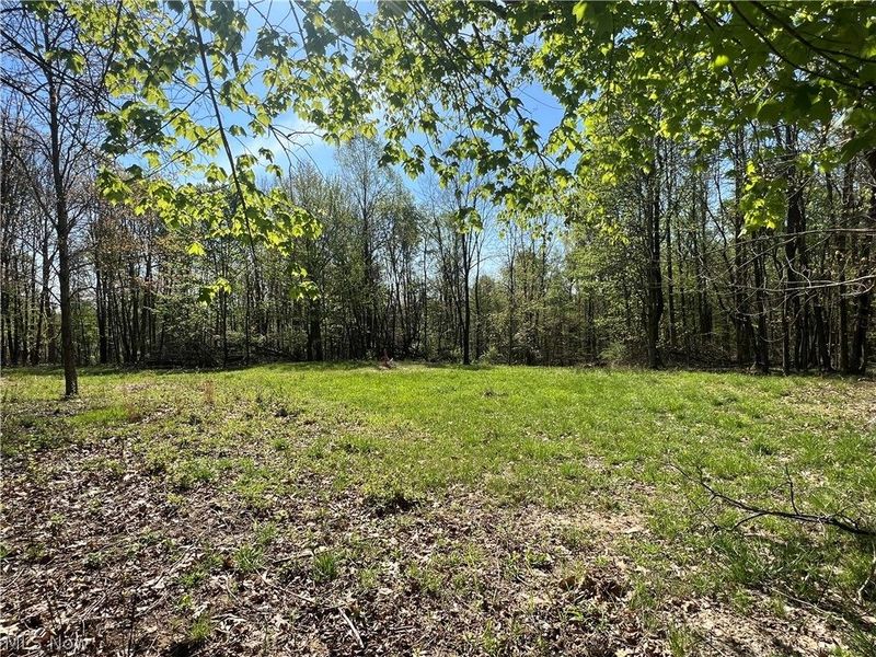 8371 French Hill Road NW, Bolivar, OH 44612 Photo 9