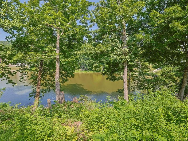 139 Jones Drive, Foster, KY 41043 Photo 47