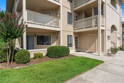 4206 Pinehurst Circle  photo 4