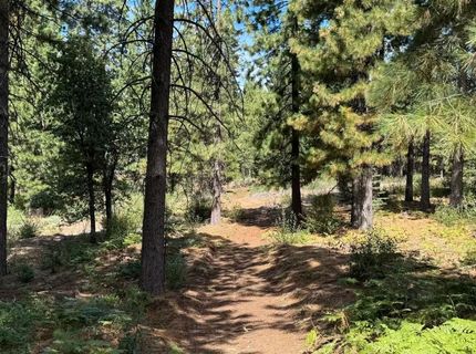 38303 Kearsarge Mill Rd, Alta, CA 95701 Photo