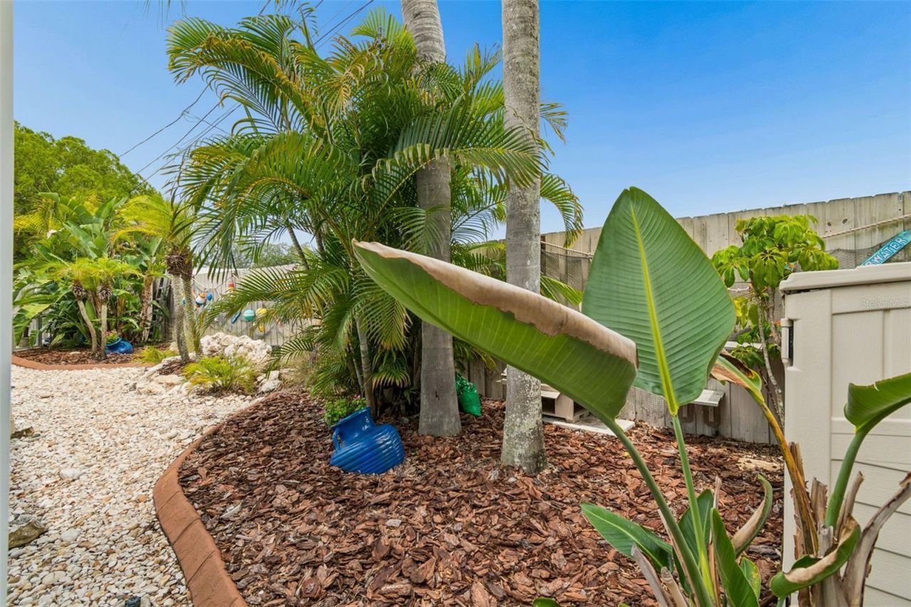 5843 Appletree Road, Holiday, FL 34690 Photo