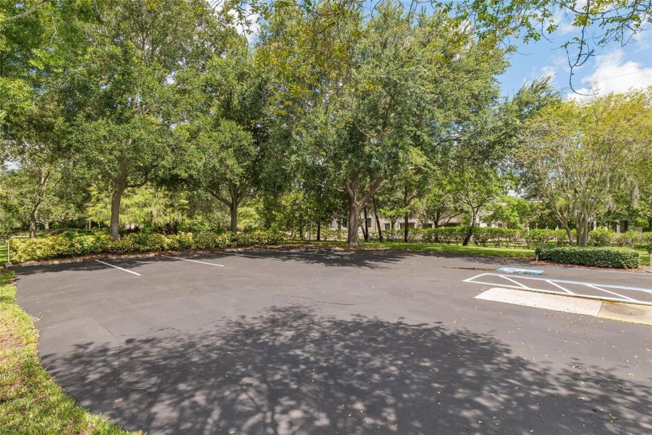 3150 N Mcmullen Booth Road, Clearwater, FL 33761 Photo