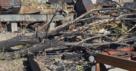 1423 Front Street, Mina, NV 89422 Photo
