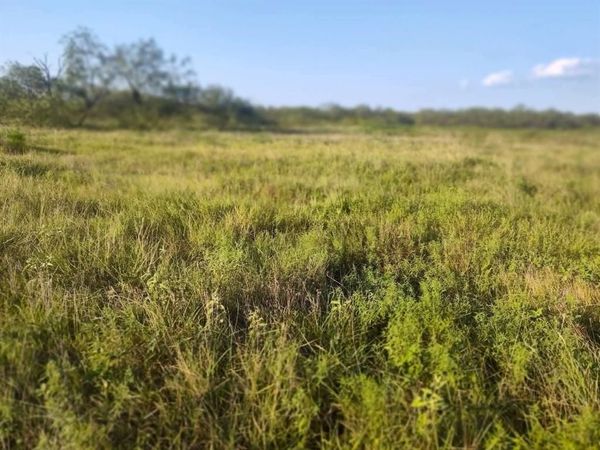 49 BOREN PRIVATE RD , Wortham, TX 76693