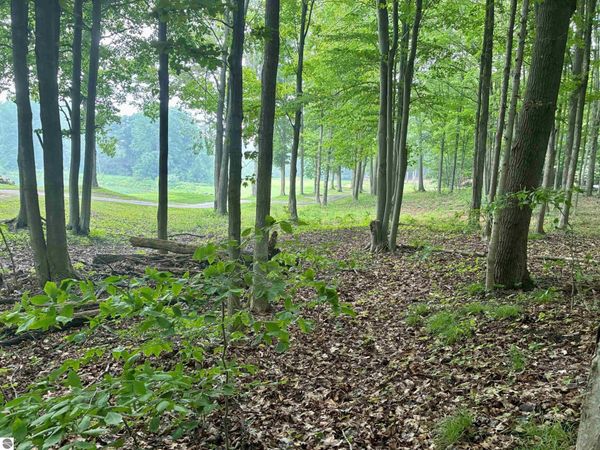 8 Forest Trail, Bellaire, MI 49615