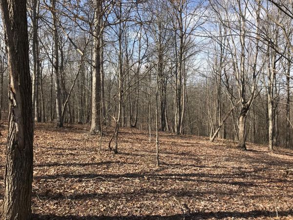 504 Wilderness Way , Dunlap, TN 37327